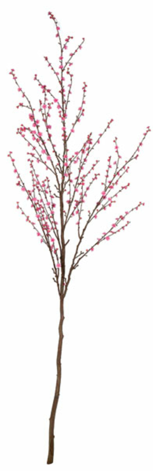 Autograph Foliages P-140167 9 ft. Plum Tree, Pink