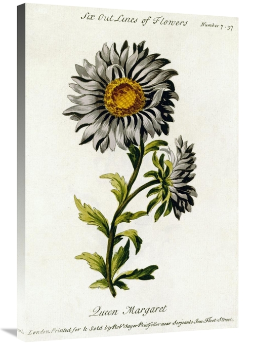 Global Gallery GCS-266984-36-142 36 in. Queen Margaret Art Print - Tho