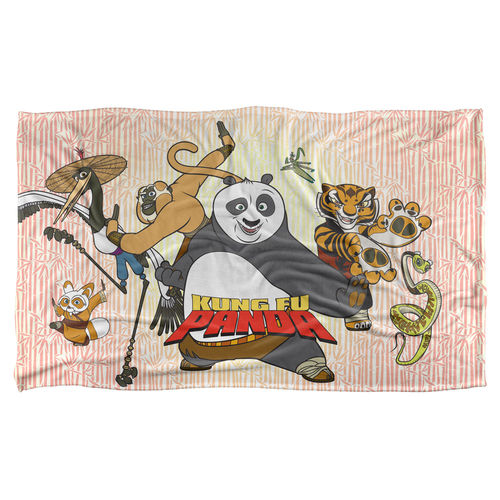 36 x 58 in. Kung Fu Panda & Kung Fu Group Silky Touch Blanket, Whi