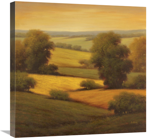 Global Gallery GCS-130185-2424-142 24 x 24 in. Amber Outlook II Art Pr