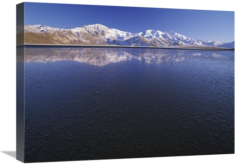 Global Gallery GCS-396623-1824-142 18 x 24 in. Flooded Racetrack Playa