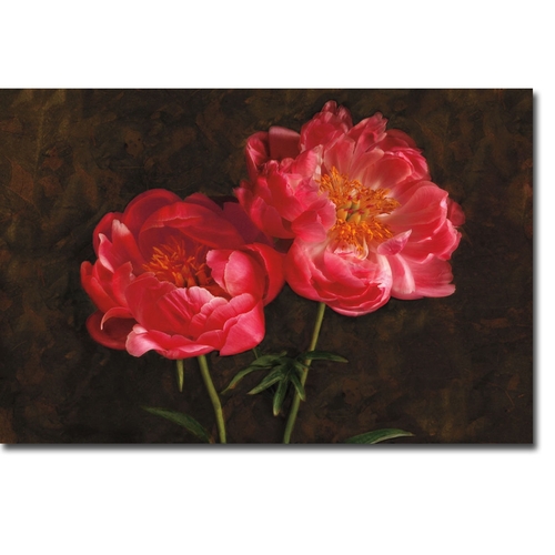 Artistic Home Gallery 1624Z340CG Romance by Janel Pahl Premium Gallery