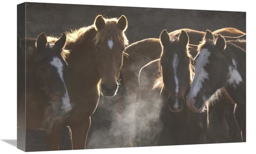 Global Gallery GCS-453136-1624-142 16 x 24 in. Horse Herd At Annual Ro