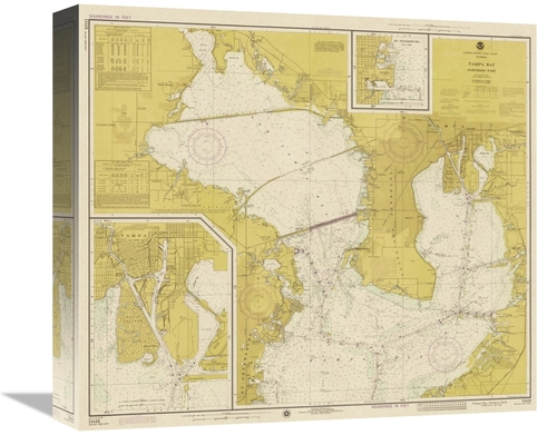 Global Gallery GCS-450534-16-142 16 in. Nautical Chart - Tampa Bay - N