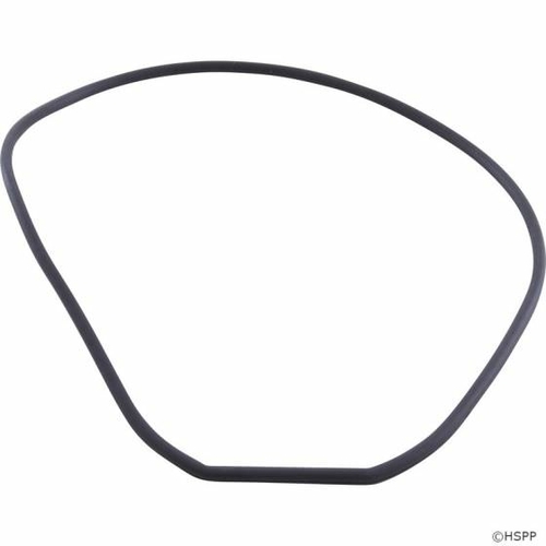 Waterway Plastics WW7114290B Gasket Faceplate for Waterway SVl56