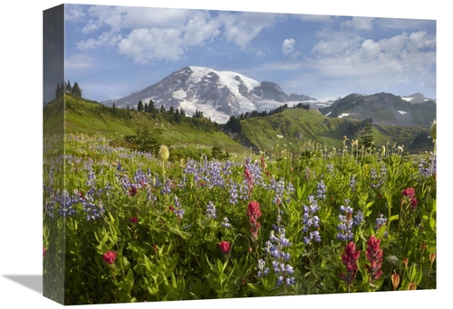 Global Gallery GCS-396888-1216-142 12 x 16 in. Paradise Meadow & Mount