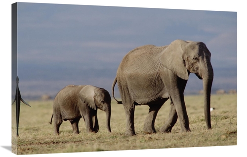 Global Gallery GCS-451977-2436-142 24 x 36 in. African Elephant Mother