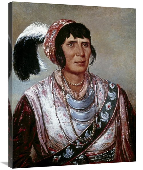 Global Gallery GCS-277030-36-142 36 in. Osceola Art Print - George Cat