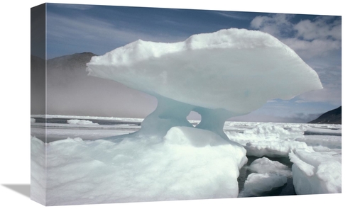 Global Gallery GCS-450710-1218-142 12 x 18 in. Iceberg & Ice Floes&#44