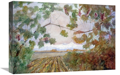 Global Gallery GCS-281677-22-142 22 in. Amongst the Vineyards Art Prin
