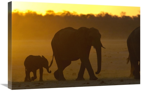 Global Gallery GCS-453262-2030-142 20 x 30 in. African Elephant Mother