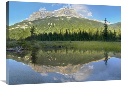 Global Gallery GCS-397017-36-142 36 in. Mt Burgess Reflected in Emeral