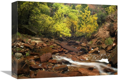Global Gallery GCS-396460-1216-142 12 x 16 in. Zion Canyon Near Emeral