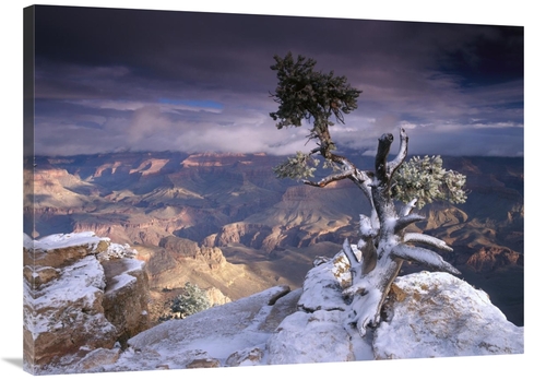 Global Gallery GCS-397177-3040-142 30 x 40 in. South Rim of Grand Cany