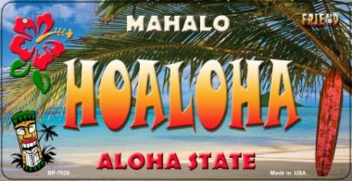 Smart Blonde BP-7828 3 x 6 in. Hoaloha Tiki Novelty Metal Bicycle Plat