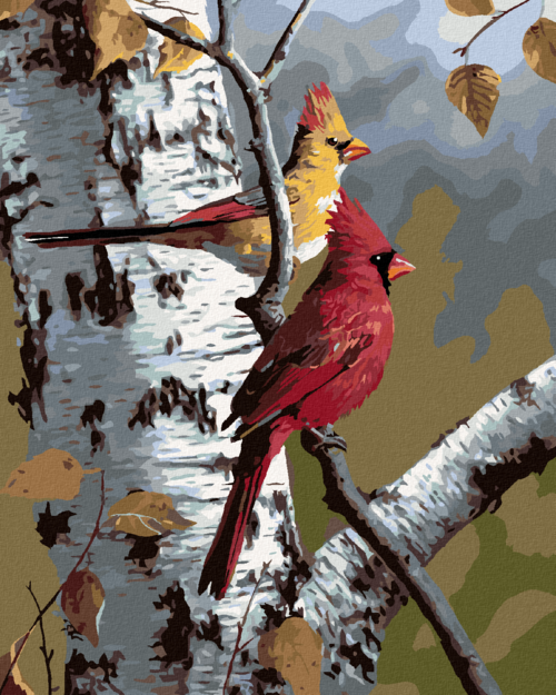 Zuty - Paint by Numbers - CARDINALS AND A BIRCH TREE (ROBERT HAUTMAN),