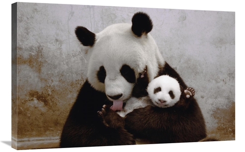 Global Gallery GCS-453019-2436-142 24 x 36 in. Gongzhu & Her Young Cub