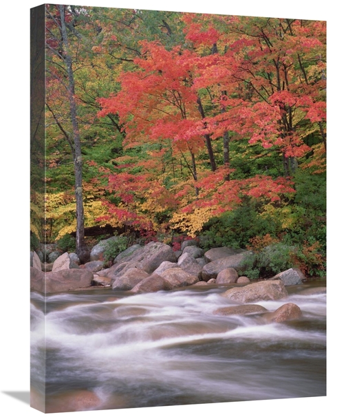 Global Gallery GCS-396840-1824-142 18 x 24 in. Autumn Along Swift Rive