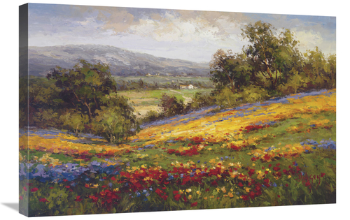 Global Gallery GCS-128431-2030-142 20 x 30 in. Campo Di Fiore I Art Pr