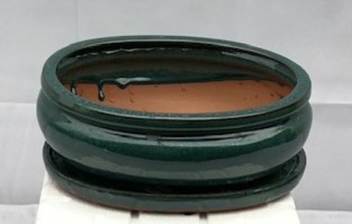 Blue / Green Ceramic Bonsai Pot - OvalWith Humidity Drip Tray10" x 8"