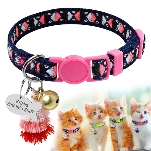 Personalized kitten collar sales