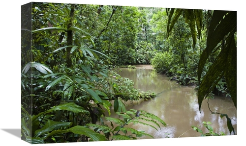 Global Gallery GCS-452672-1218-142 12 x 18 in. River in Lowland Rainfo