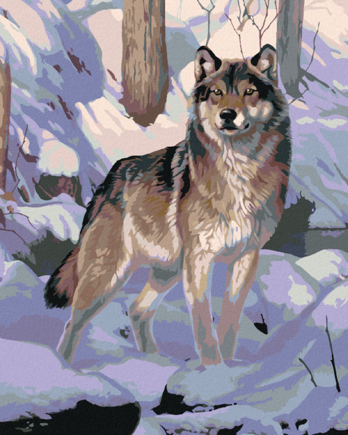 Paint by Numbers - WOLF IN THE SNOW (AL AGNEW)