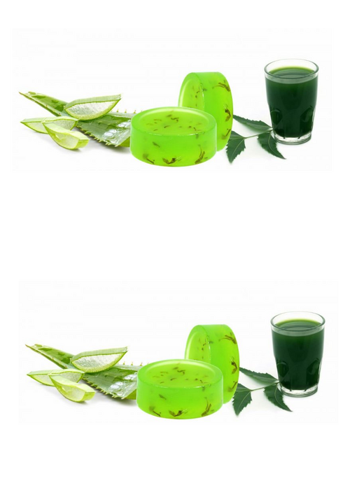 Aloe Vera Neem Soap Pack of 2