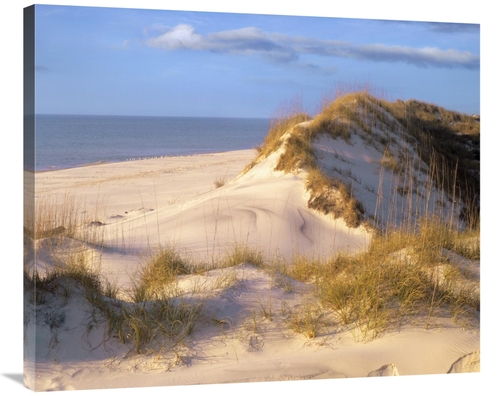 Global Gallery GCS-396340-36-142 36 in. Coastal Sand Dunes, Saint 