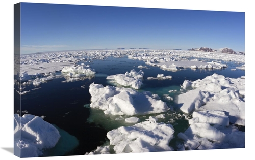 Global Gallery GCS-452708-2030-142 20 x 30 in. Ice Floe Field, Spi