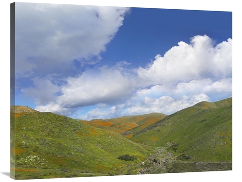 Global Gallery GCS-396023-3040-142 30 x 40 in. Temescal Hills, Sou