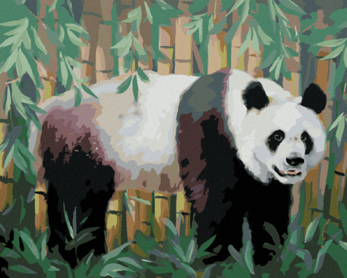 Zuty - Paint by Numbers - PANDA AND BAMBOO (D. RUSTY RUST), 40x50 cm