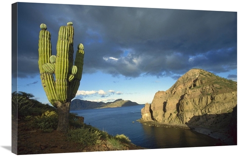 24 x 36 in. Danzante Island, Sea of Cortez, Baja California&#4
