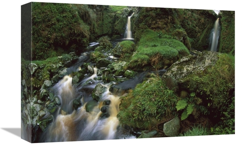 Global Gallery GCS-451819-1218-142 12 x 18 in. Waterfalls Among Ferns 