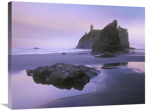 Global Gallery GCS-396865-2432-142 24 x 32 in. Ruby Beach with Seastac