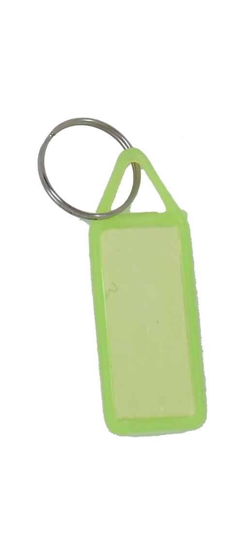 Plain Label Key Chain - Green