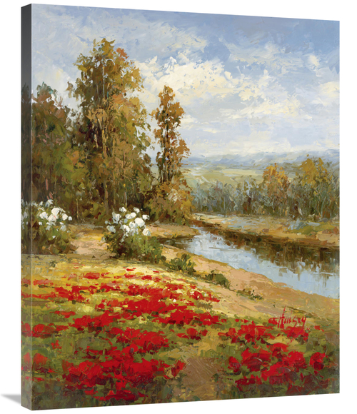 Global Gallery GCS-128430-2835-142 28 x 35 in. Poppy Vista I Art Print