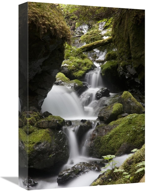 Global Gallery GCS-395439-1218-142 12 x 18 in. Cascading Creek in Temp