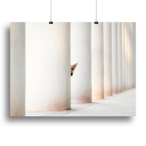 Bella and the Pillars of the Earth Canvas Print or Poster