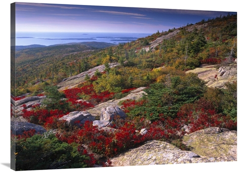 Global Gallery GCS-396692-3040-142 30 x 40 in. Atlantic Coast From Cad