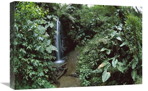 Global Gallery GCS-451643-1624-142 16 x 24 in. Andean Cloud Forest&#44