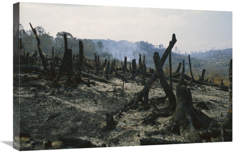 Global Gallery GCS-398529-2030-142 20 x 30 in. Slash & Burn Agricultur