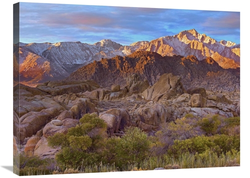 Global Gallery GCS-396220-2432-142 24 x 32 in. Sun Illuminating the Al