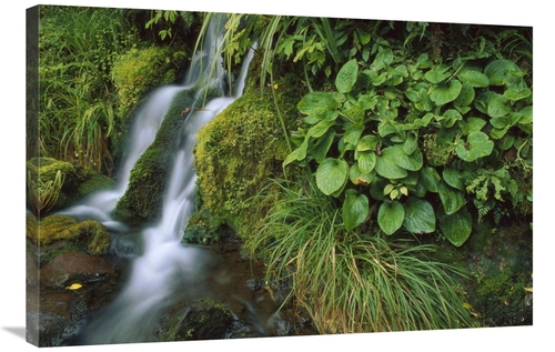 Global Gallery GCS-453506-2436-142 24 x 36 in. Waterfall, Egmont N