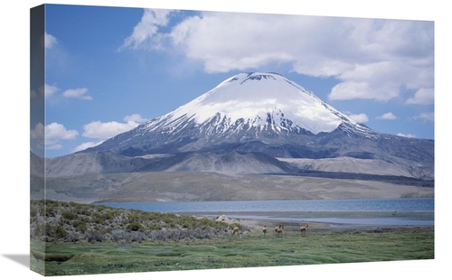 Global Gallery GCS-451458-1624-142 16 x 24 in. Lake Chungara & Parinco