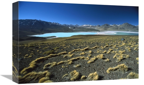 Global Gallery GCS-451634-1218-142 12 x 18 in. Eduardo Avaroa Faunisti