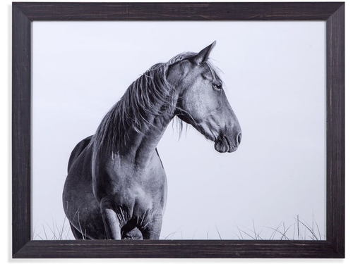 Bassett 9901-371 44 x 34 in. A Glance Away Framed Art