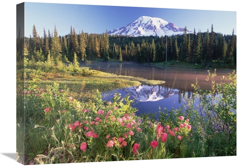 Global Gallery GCS-397028-1824-142 18 x 24 in. Mt Rainier & Wildflower