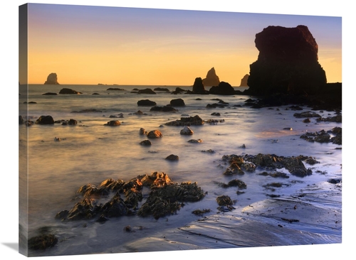 Global Gallery GCS-395976-2432-142 24 x 32 in. Lone Beach at Sunset&#4