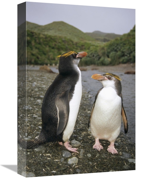 Global Gallery GCS-451060-1218-142 12 x 18 in. Royal Penguin Pair on L